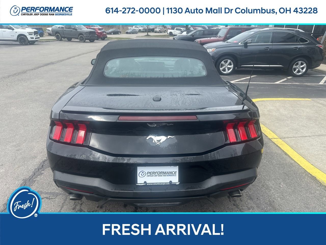 Used 2024 Ford Mustang Premium image 5
