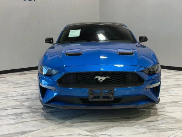 Used 2019 Ford Mustang EcoBoost w/ Equipment Group 101A image 3