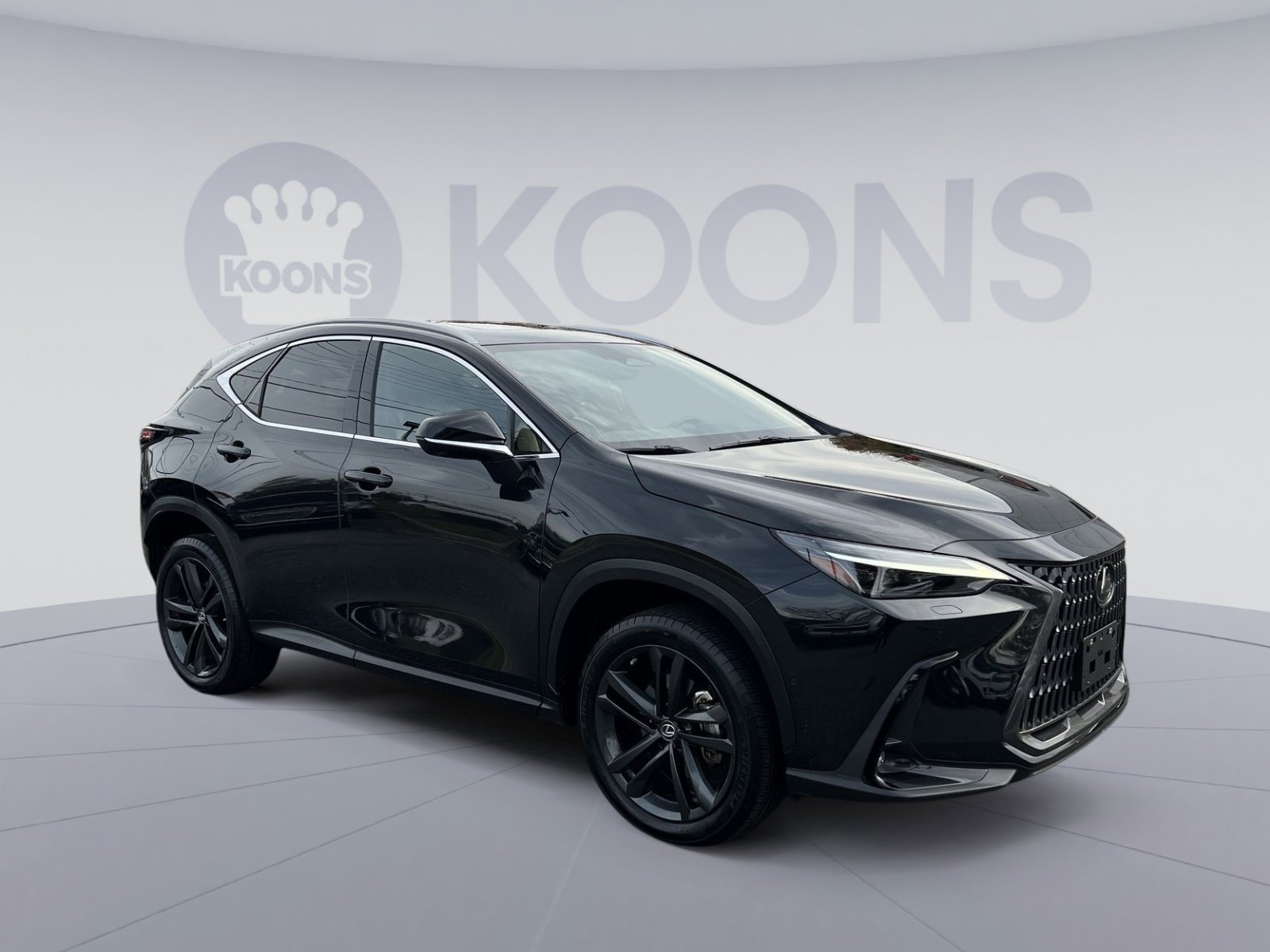 Used 2022 Lexus NX 450h+ 450h+ Luxury image 10