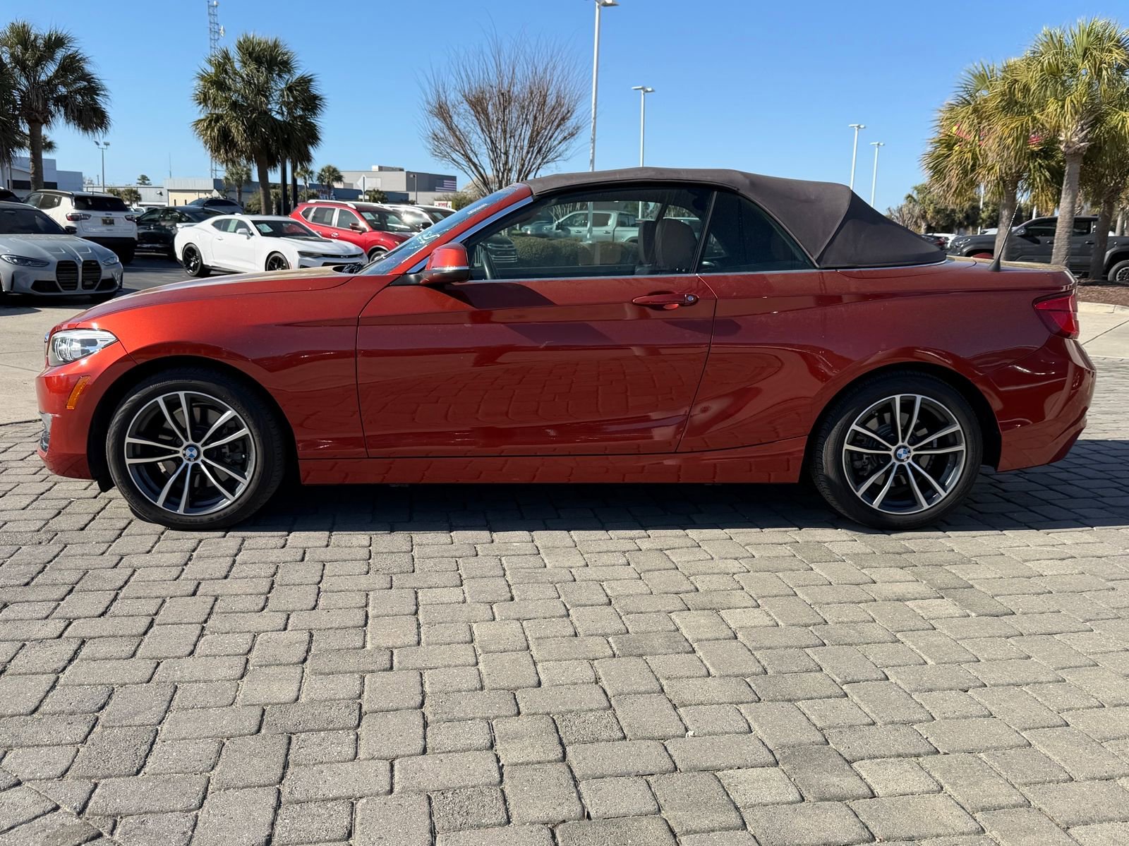 Used 2018 BMW 230i Convertible w/ Premium Package image 10
