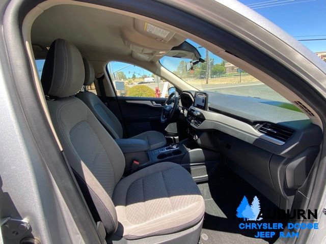 Used 2020 Ford Escape SE AWD/4WD image 13