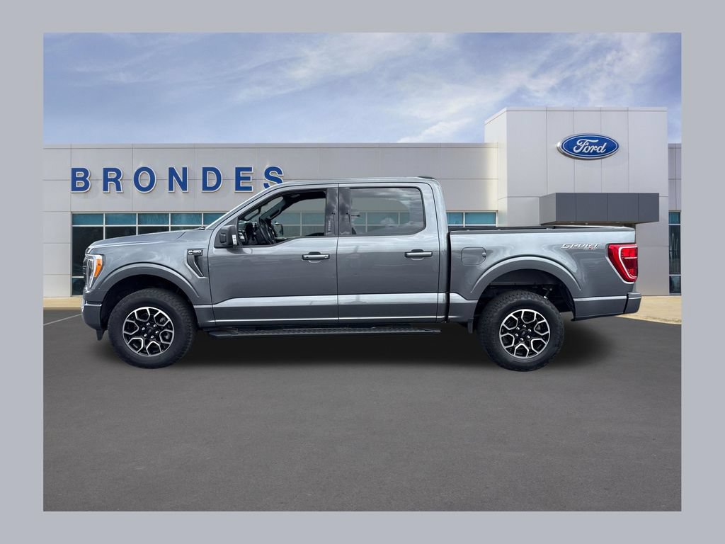 Used 2023 Ford F150 XLT w/ Equipment Group 302A High AWD/4WD image 1