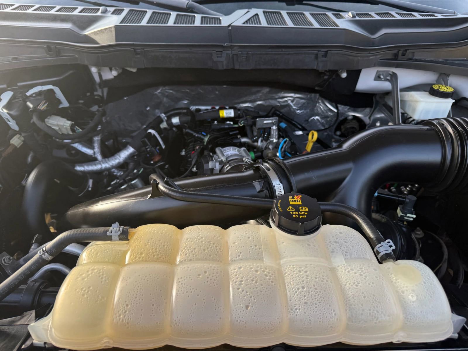 Used 2022 Ford F150 XL w/ STX Black Appearance Package image 11