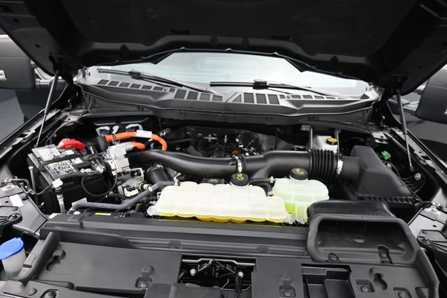 Certified 2025 Ford F150 XLT w/ Equipment Group 301A Standard AWD/4WD image 15