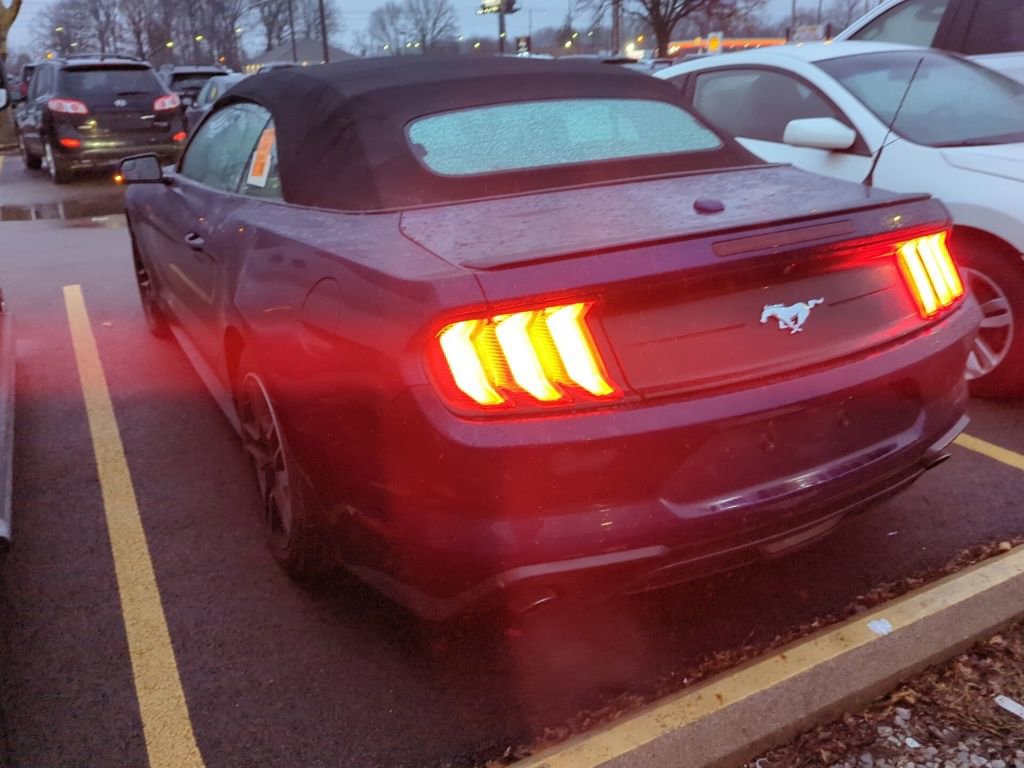 Used 2018 Ford Mustang Premium w/ Equipment Group 201A image 4