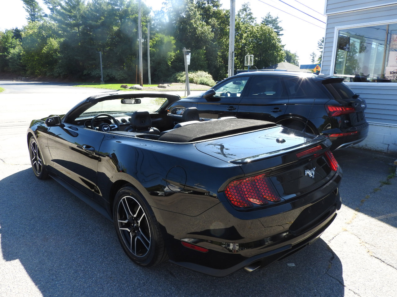 Used 2018 Ford Mustang Premium w/ Equipment Group 201A image 10