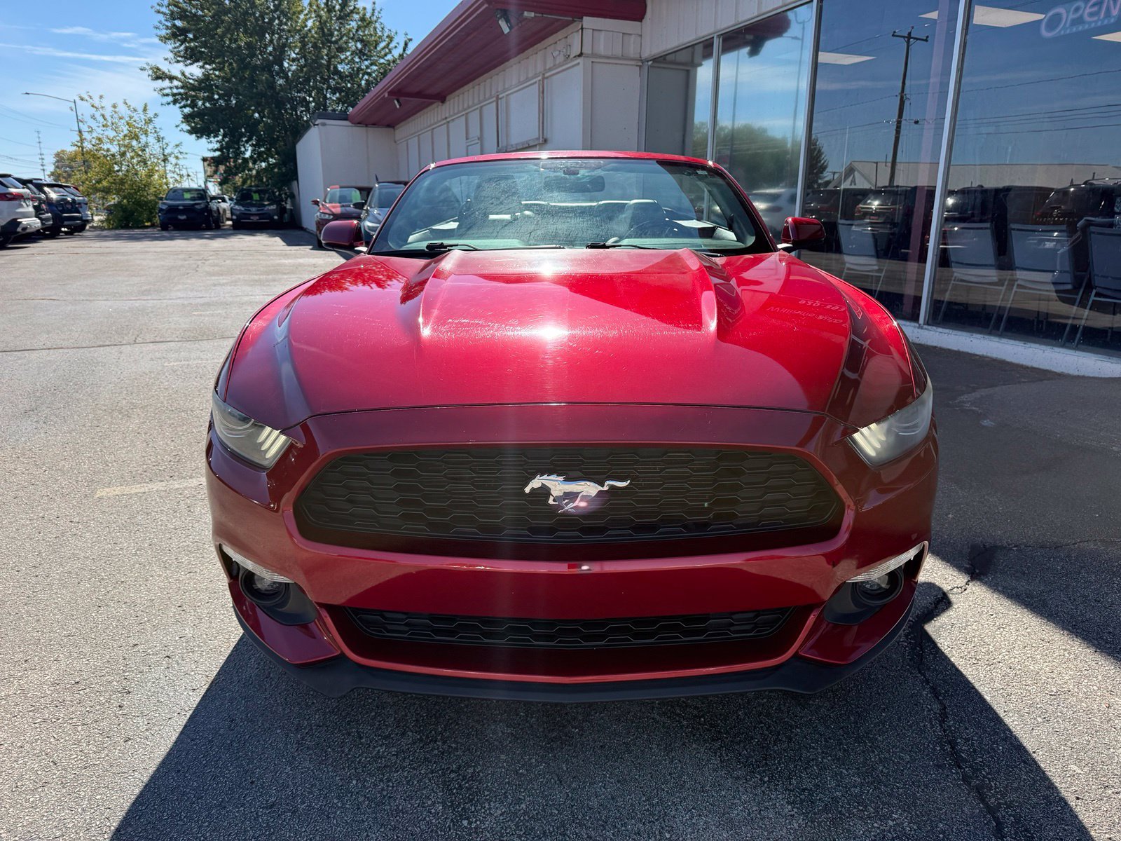 Used 2017 Ford Mustang Premium RWD image 8