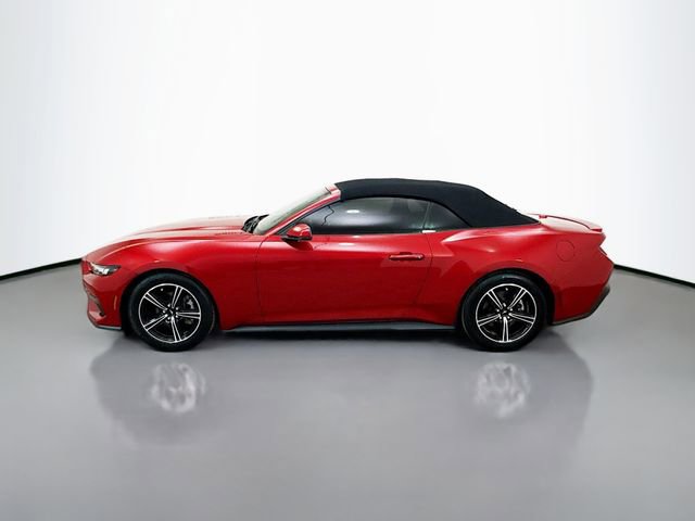 Used 2024 Ford Mustang Premium image 4