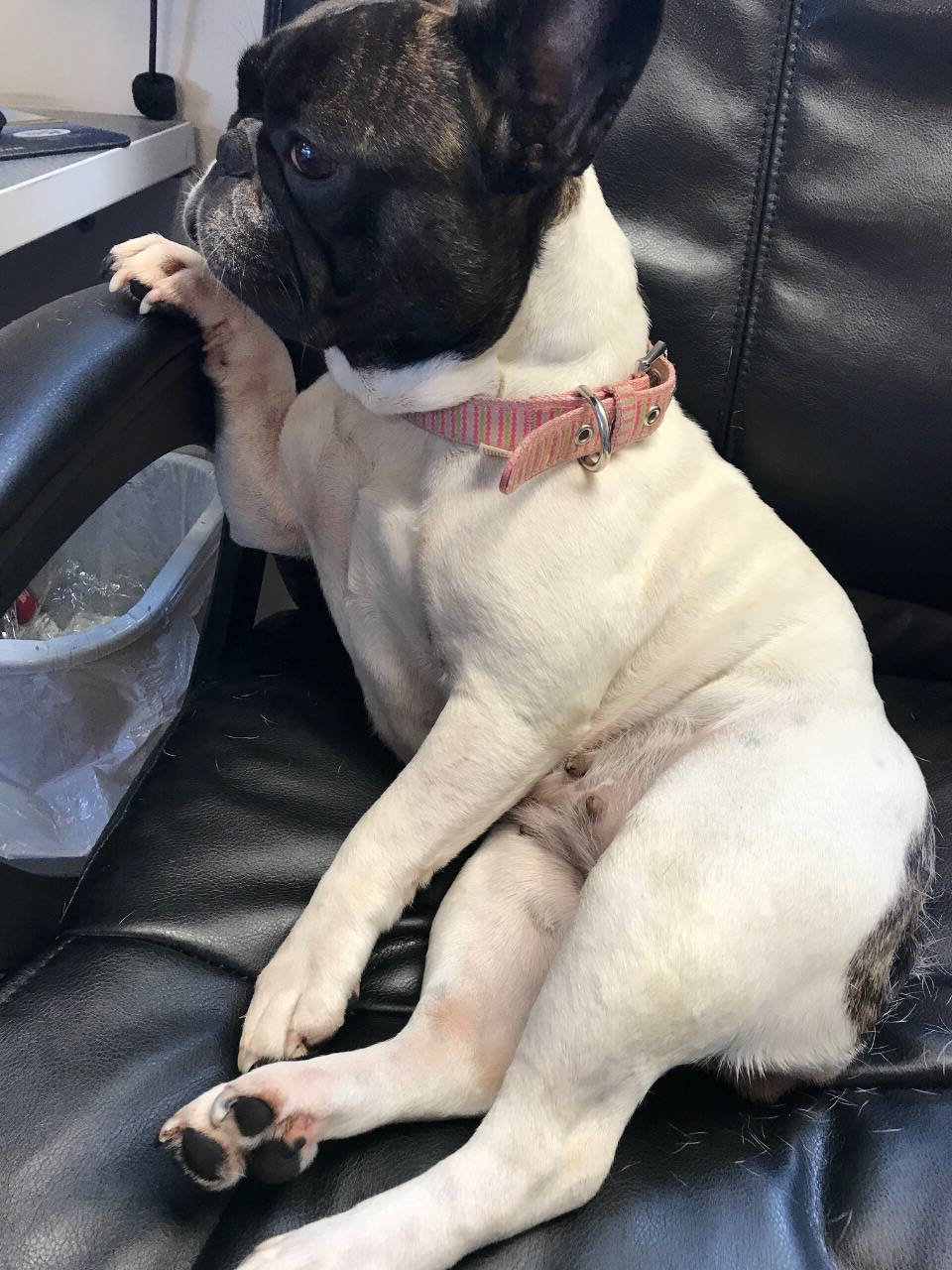 Used 2013 Kia Soul + w/ Audio Pkg image 38