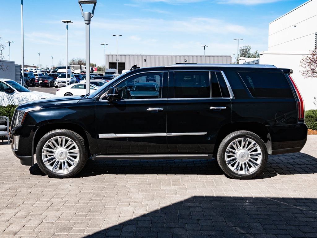 Used 2015 Cadillac Escalade Platinum image 5