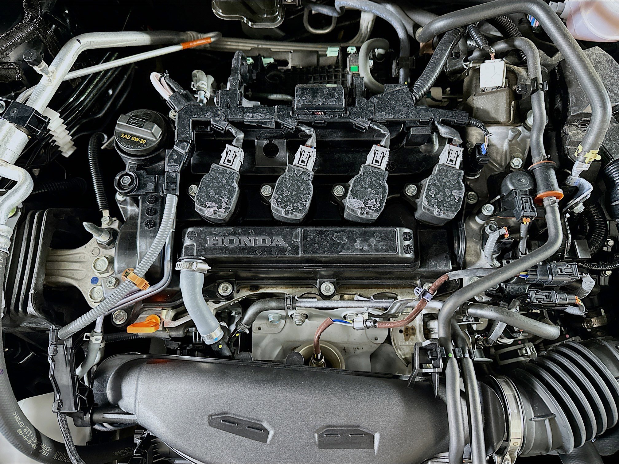 Used 2025 Honda Accord LX image 31