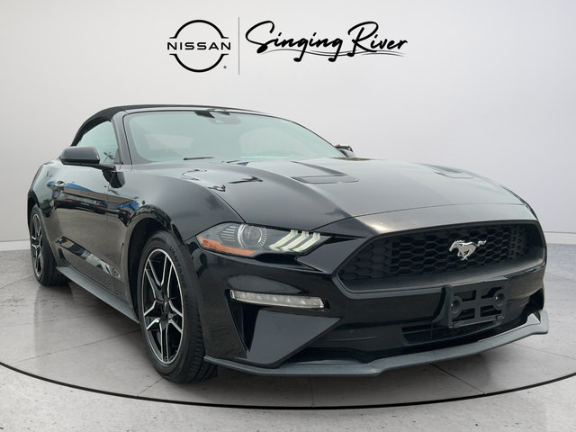 Used 2022 Ford Mustang Premium RWD image 1