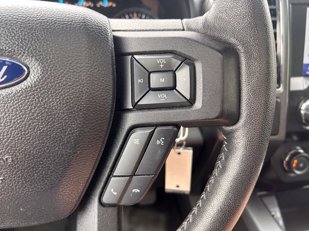 Used 2019 Ford F150 XLT w/ Equipment Group 302A Luxury AWD/4WD image 29