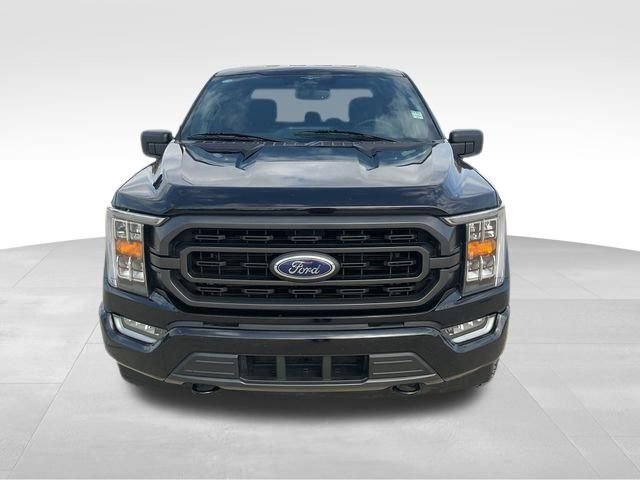 Used 2023 Ford F150 XLT w/ Equipment Group 302A High image 4