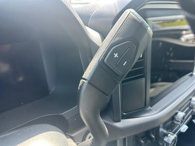 New 2025 Ford F150 XLT w/ Equipment Group 301A Standard image 22