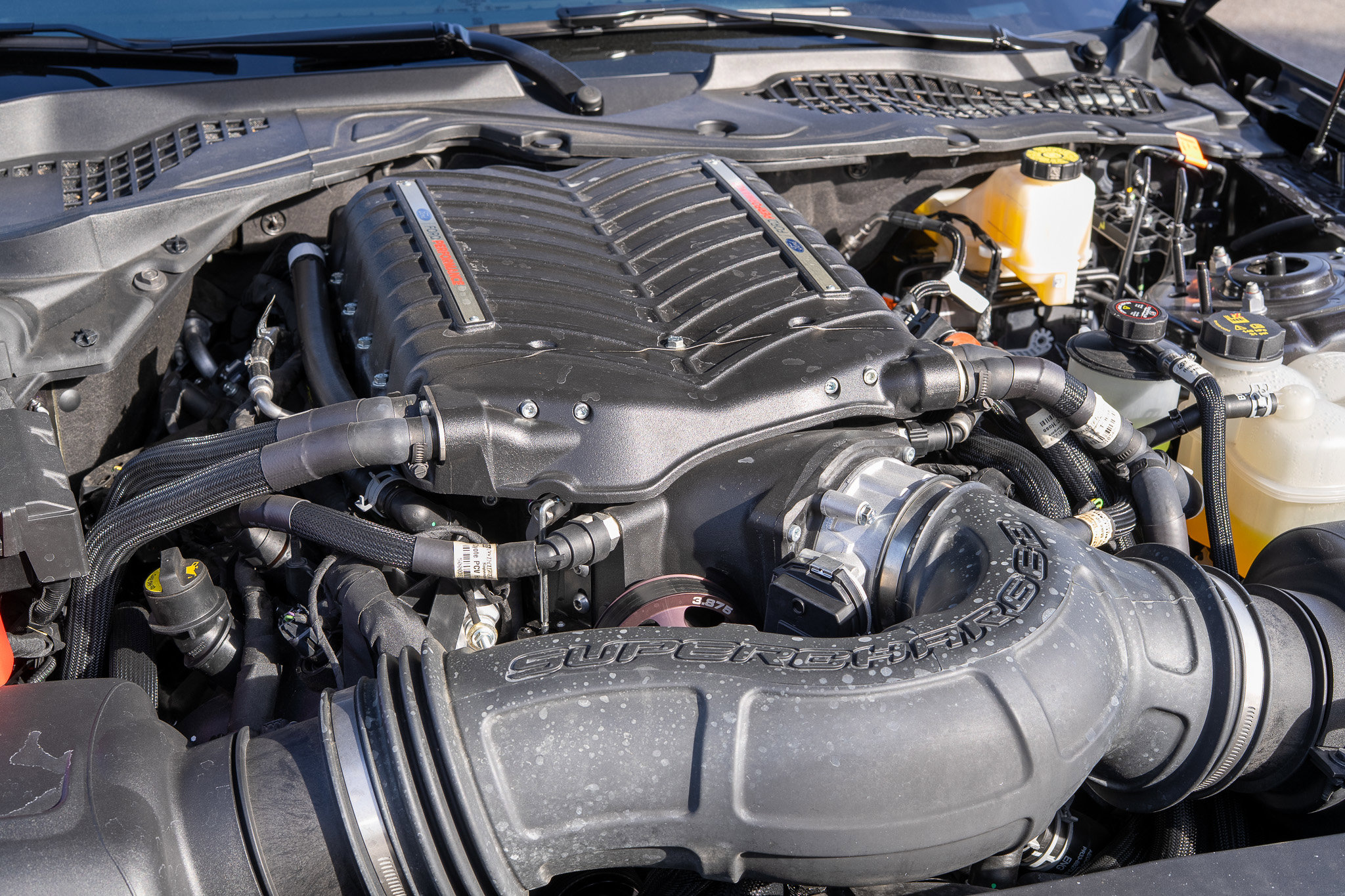 Used 2024 Ford Mustang GT Premium image 11