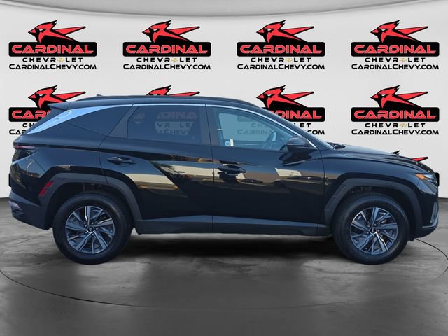 Used 2023 Hyundai Tucson Blue AWD/4WD image 2