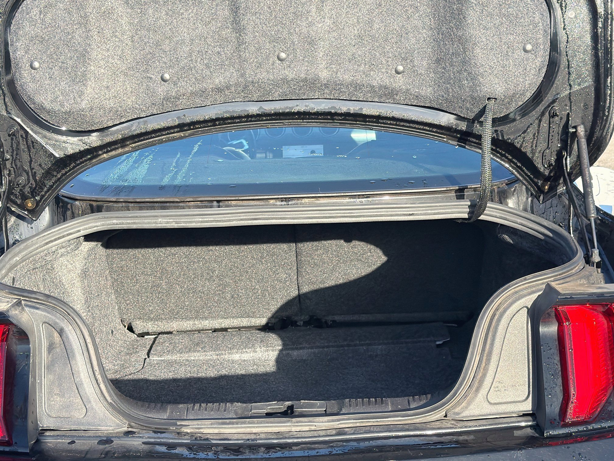 Used 2019 Ford Mustang GT Premium RWD image 11