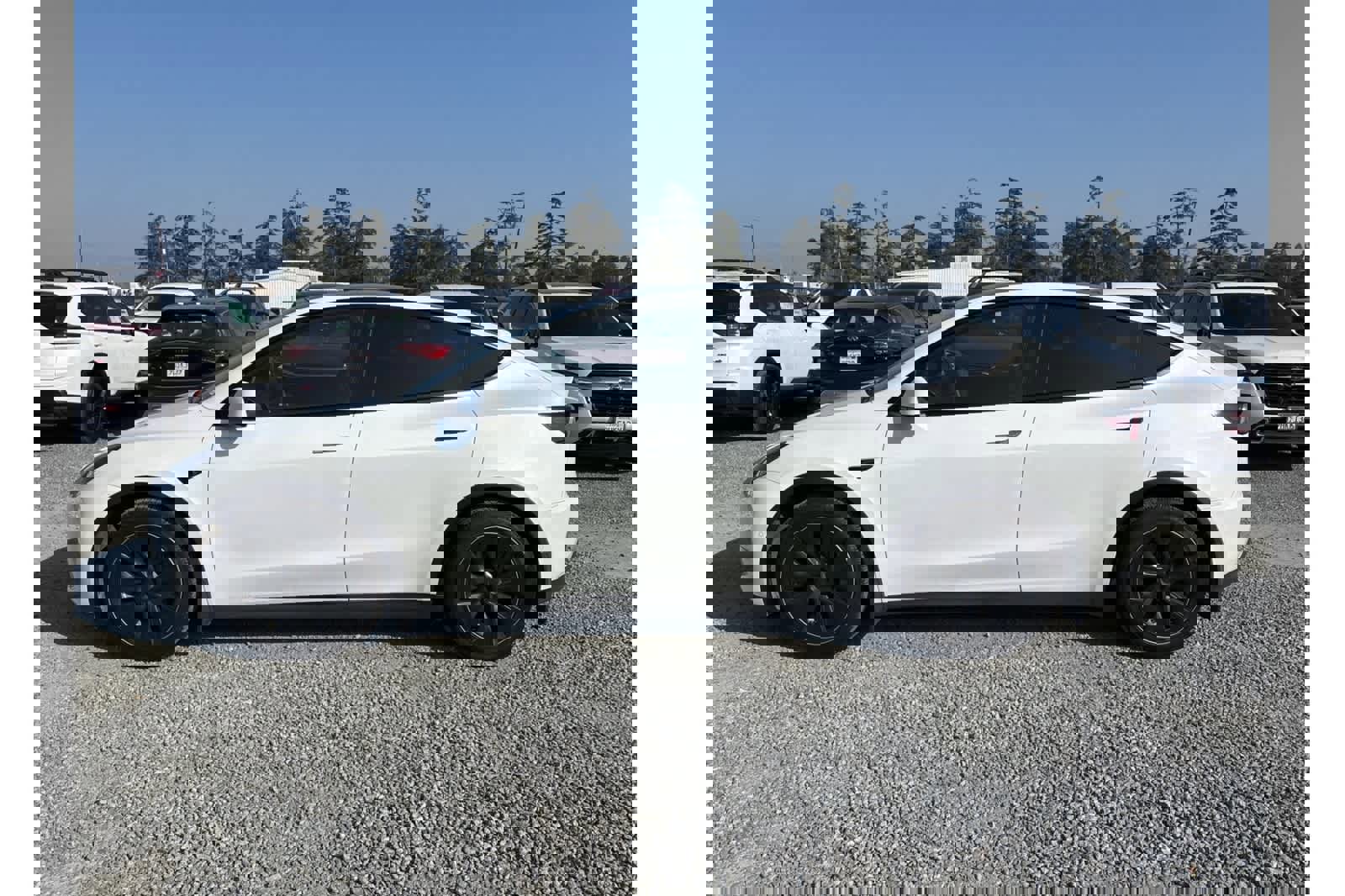 Used 2022 Tesla Model Y Long Range image 6