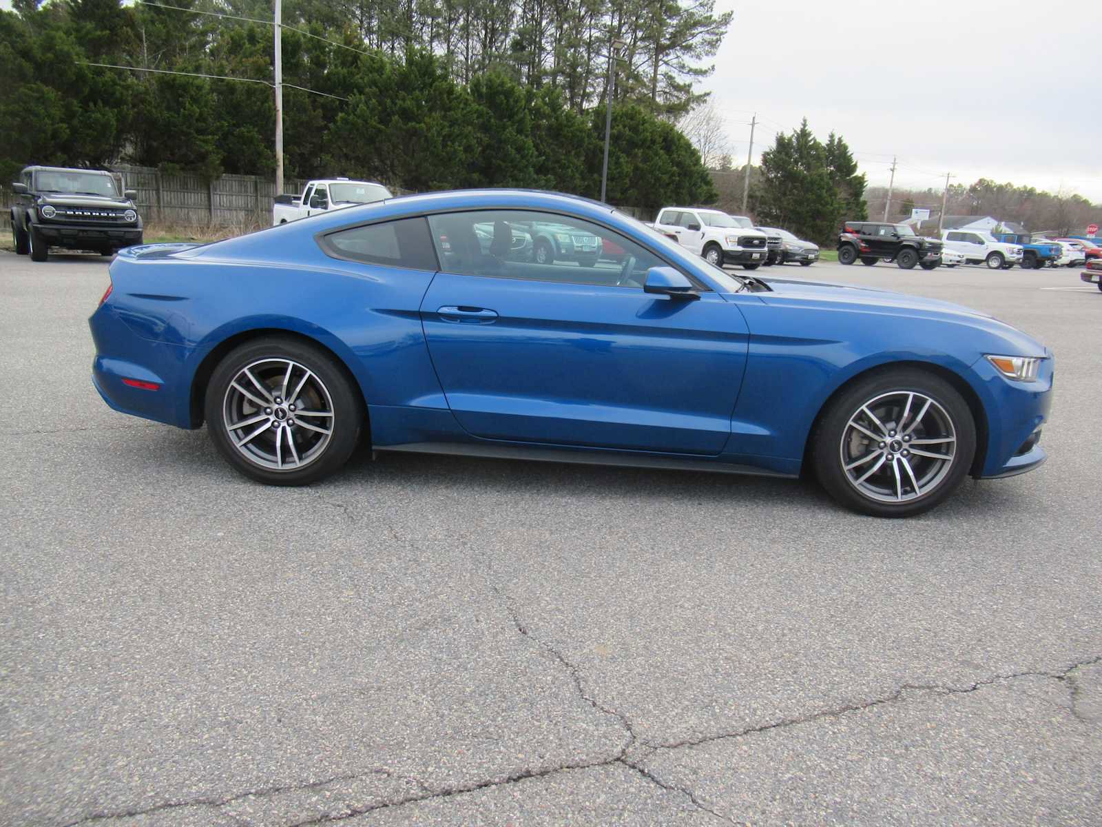 Used 2017 Ford Mustang EcoBoost image 4