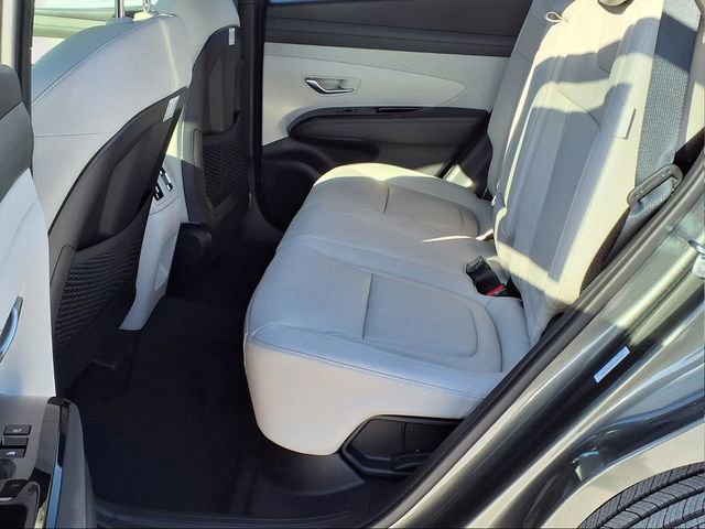 New 2026 Hyundai Tucson Limited image 13
