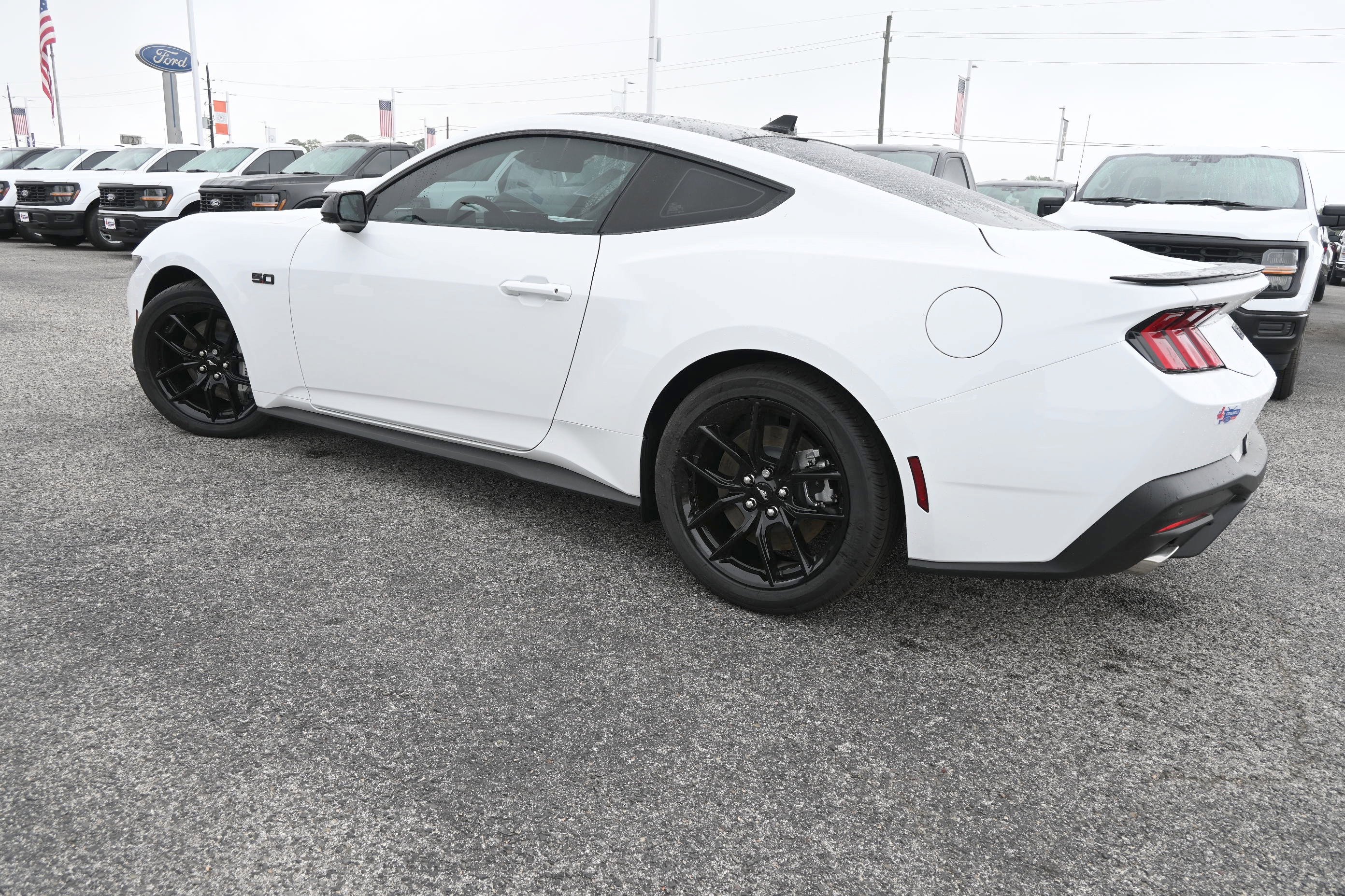 New 2026 Ford Mustang GT Premium w/ Mustang Nite Pony Package image 7
