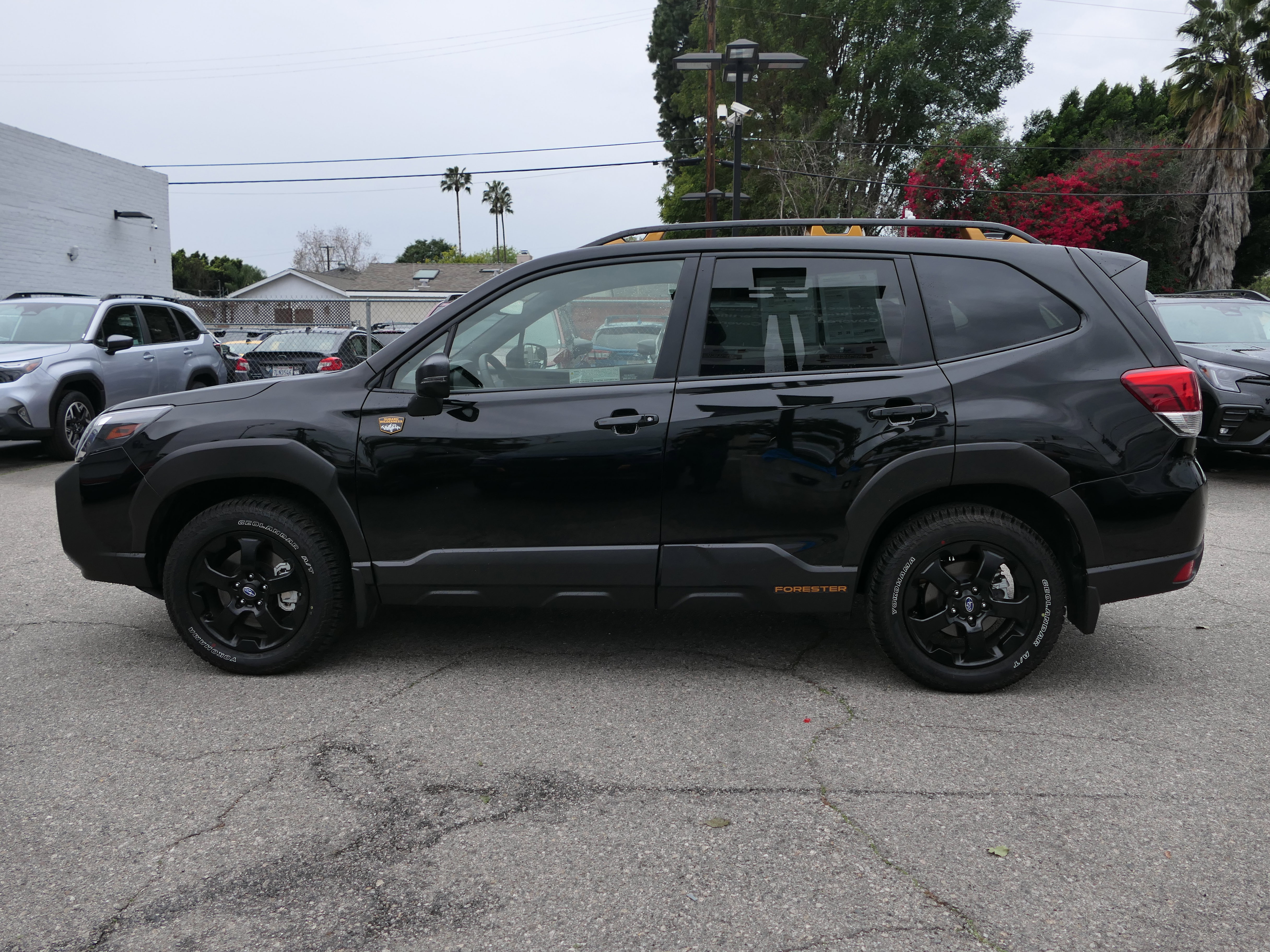 Certified 2025 Subaru Forester Wilderness image 2