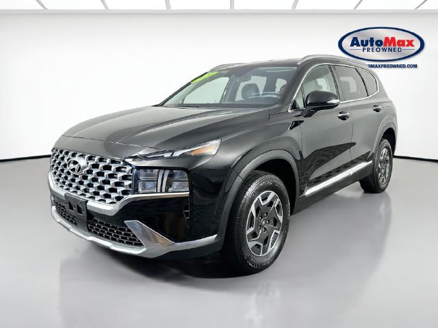 Used 2023 Hyundai Santa Fe Blue AWD/4WD image 4