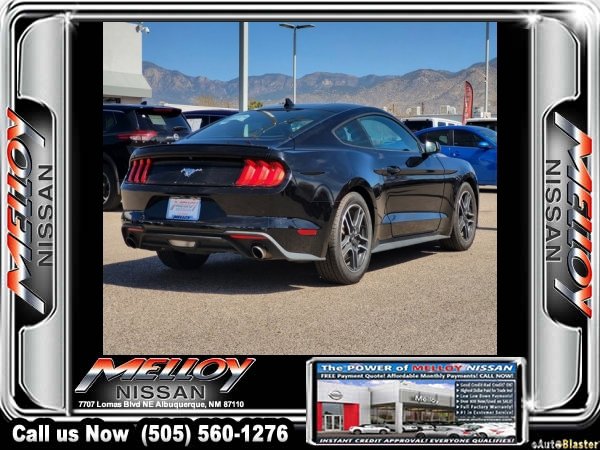 Used 2023 Ford Mustang Premium image 4