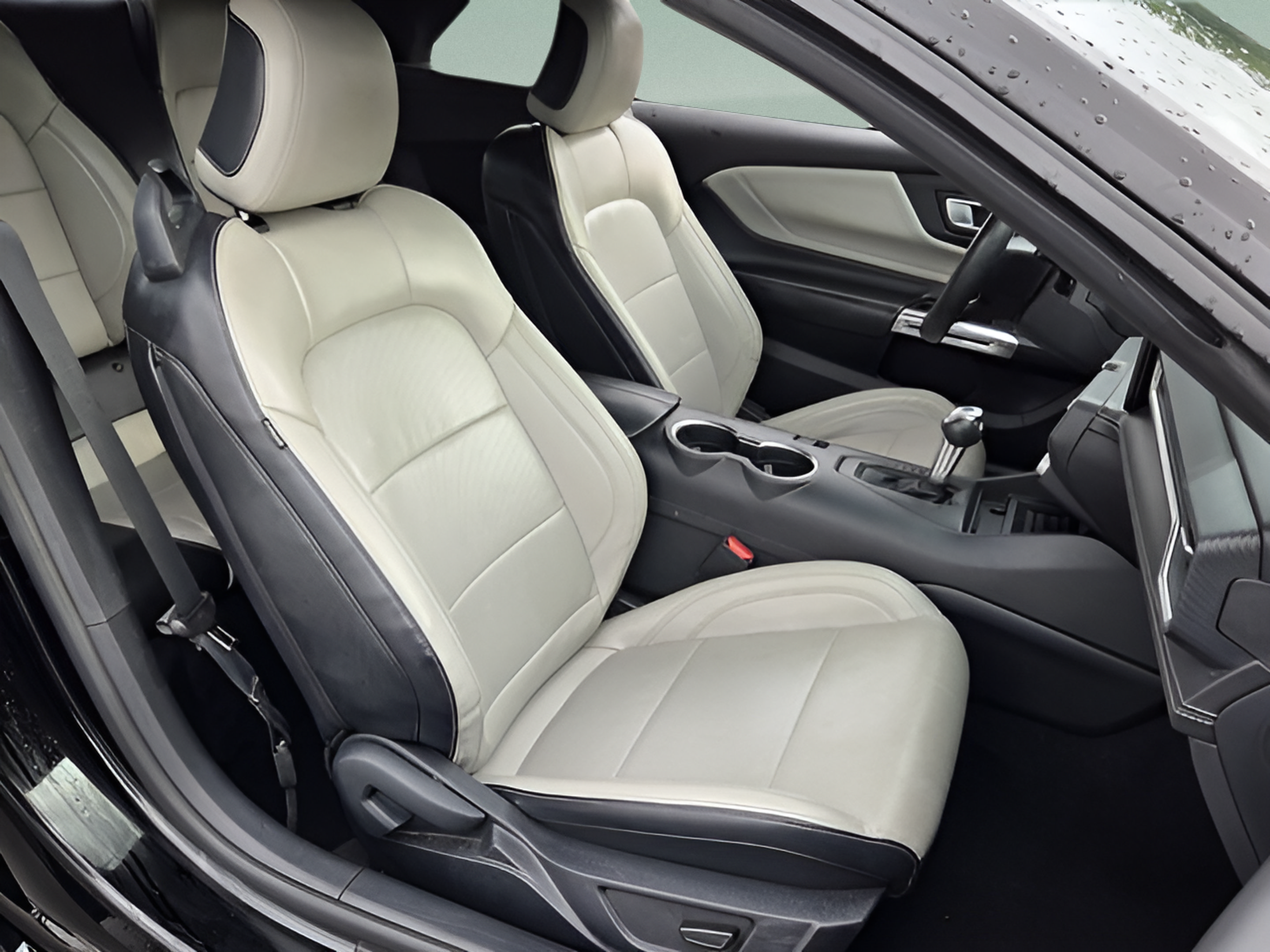 Used 2024 Ford Mustang Premium RWD image 16