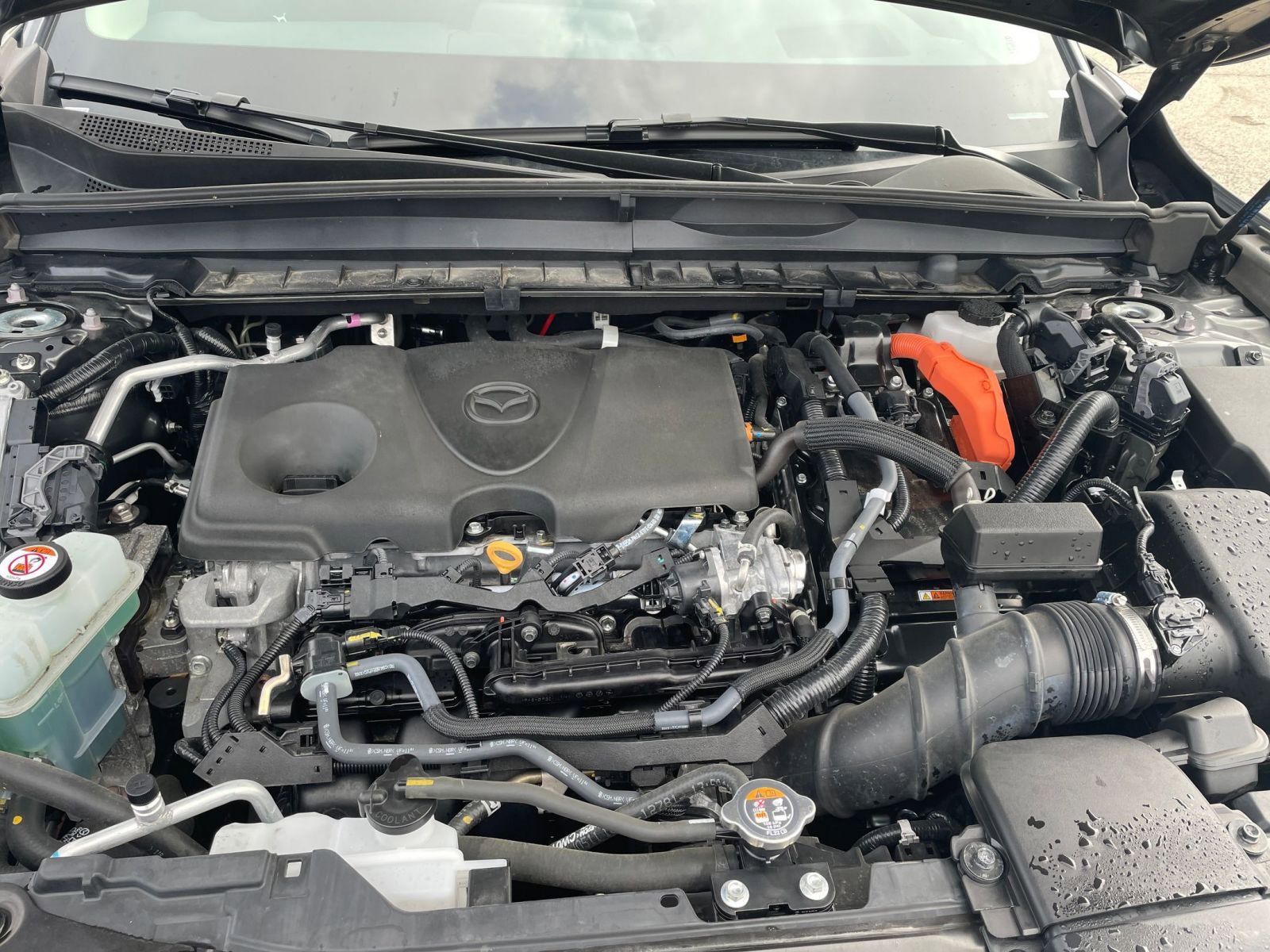 Used 2025 MAZDA CX-50 2.5 Hybrid w/ Premium Plus Pkg AWD/4WD image 34