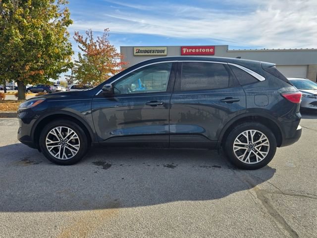 Used 2022 Ford Escape SEL AWD/4WD image 6