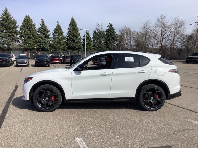 New 2025 Alfa Romeo Stelvio Sprint w/ Veloce Package image 2