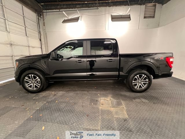 Used 2023 Ford F150 XL w/ STX Appearance Package RWD image 4