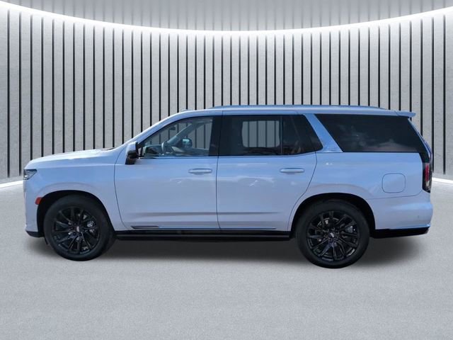 Certified 2022 Cadillac Escalade Premium Luxury Platinum image 9