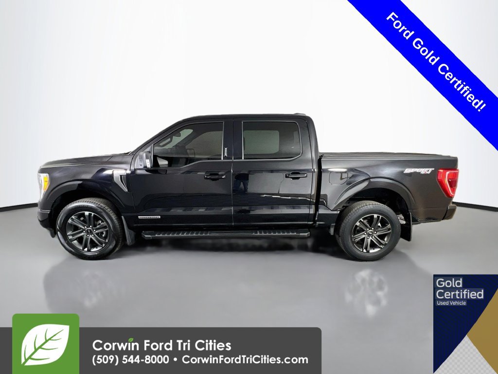Certified 2022 Ford F150 XLT w/ Equipment Group 302A High AWD/4WD image 6