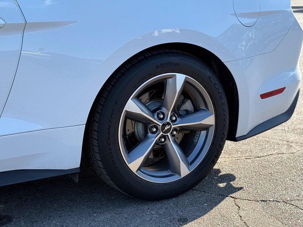 Used 2016 Ford Mustang Premium w/ Equipment Group 201A RWD image 42