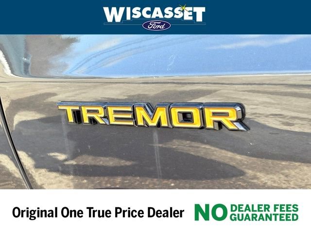 New 2025 Ford Expedition Tremor image 27