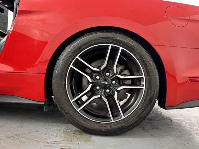 Used 2019 Ford Mustang GT Premium RWD image 5