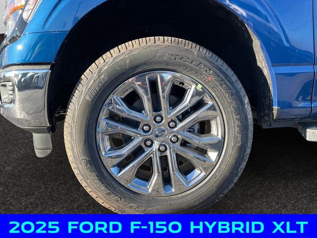 New 2025 Ford F150 XLT w/ Equipment Group 302A MID image 14