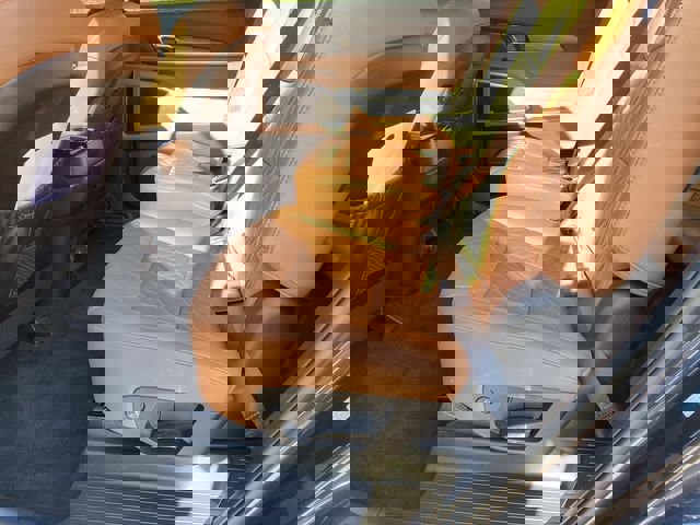 Used 2025 Kia Telluride SX X-Line image 15