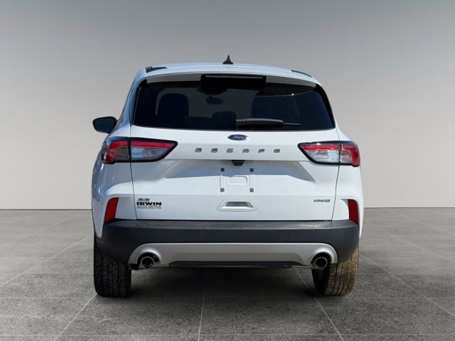 Used 2022 Ford Escape SE AWD/4WD image 4
