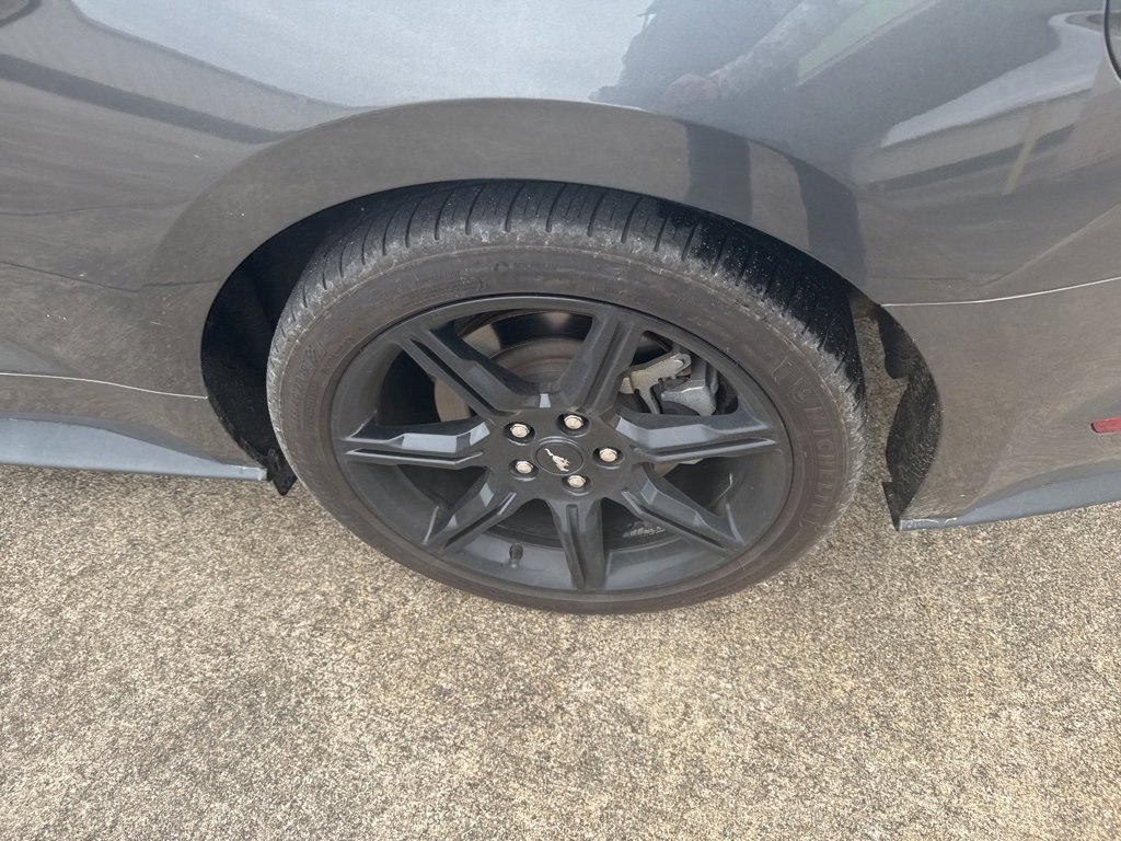 Used 2019 Ford Mustang GT w/ Black Accent Package image 19