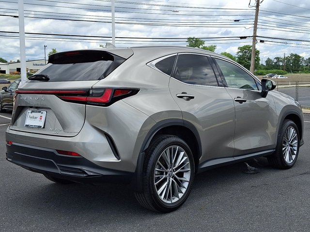 Used 2022 Lexus NX 350h AWD image 6