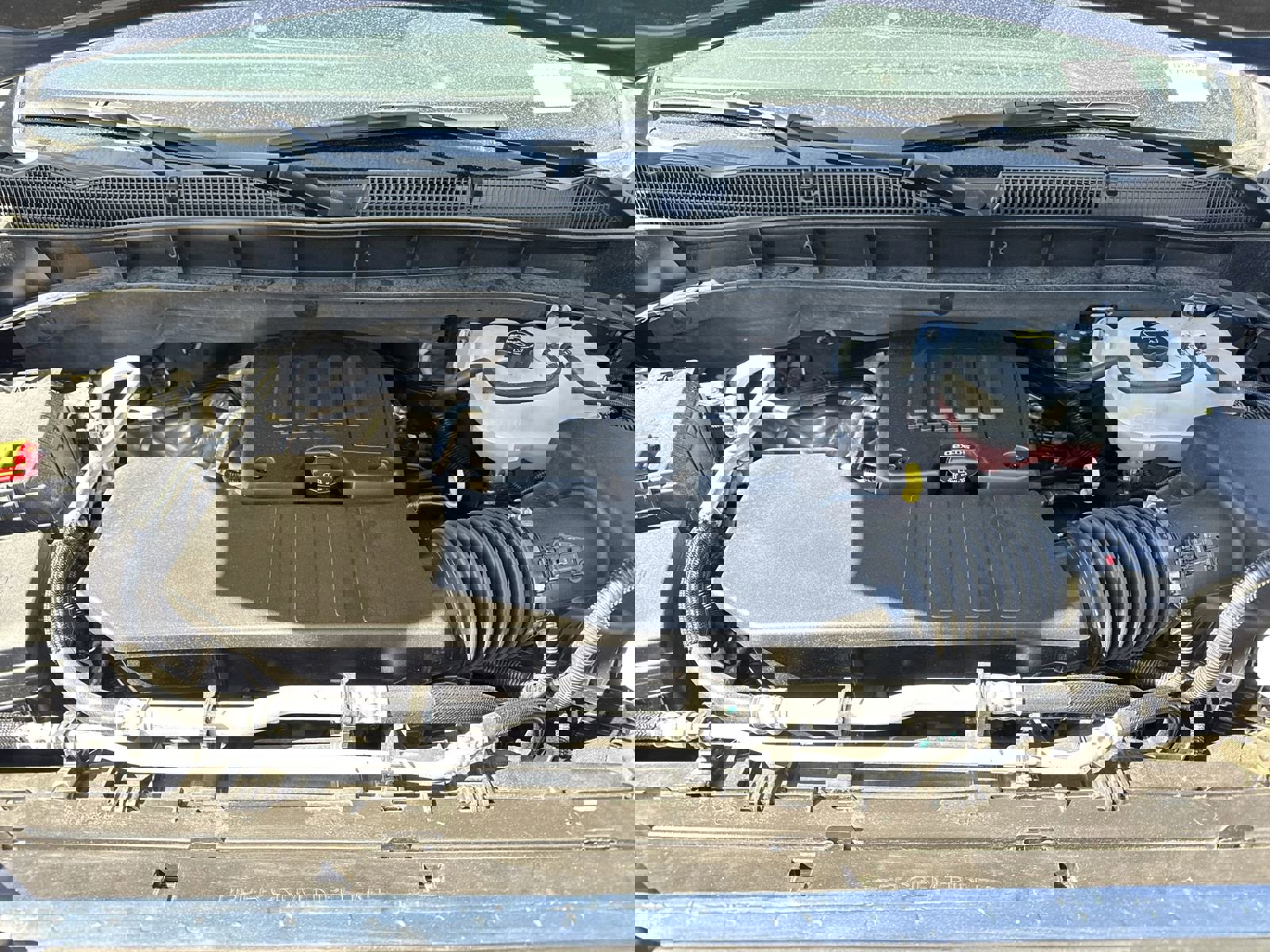 Used 2024 GMC Sierra 1500 Elevation image 33