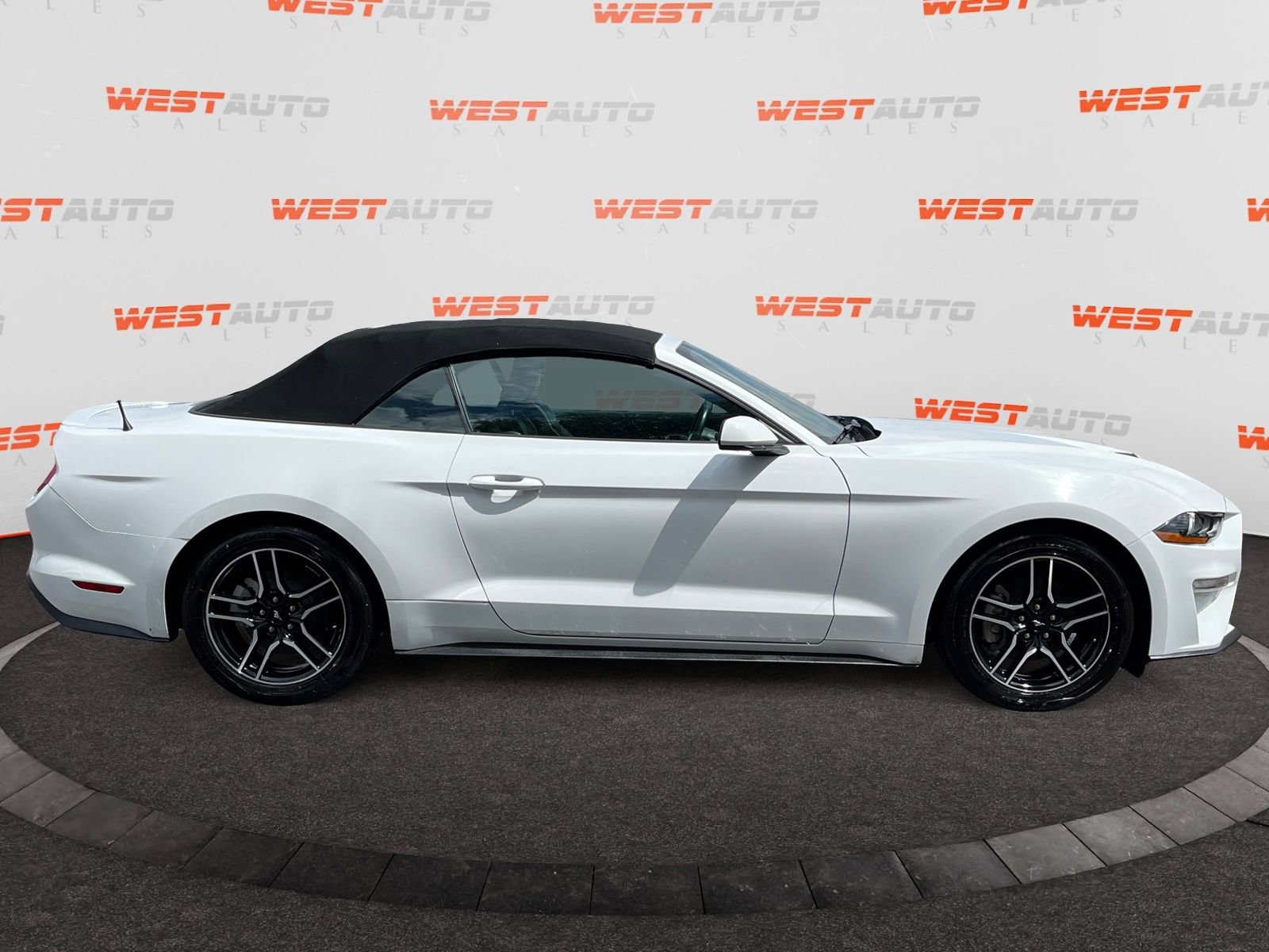 Used 2023 Ford Mustang Premium image 6