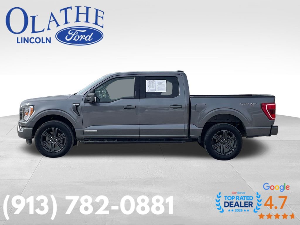 Used 2023 Ford F150 XLT w/ Equipment Group 302A High video 2
