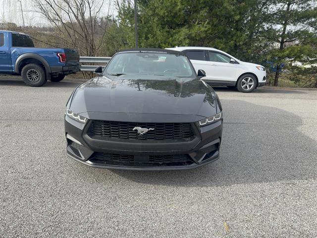 Used 2024 Ford Mustang Premium image 3