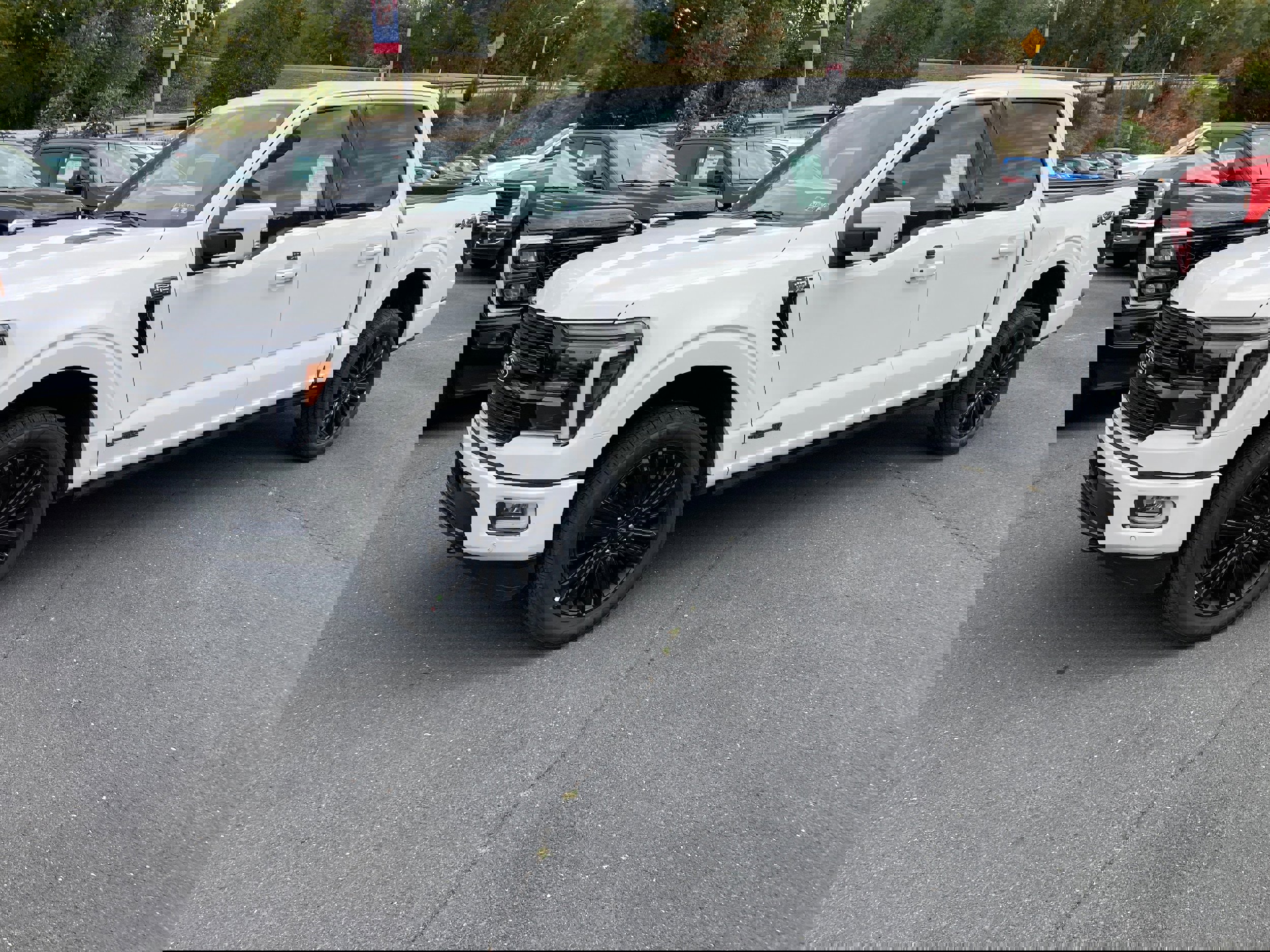 New 2025 Ford F150 Platinum