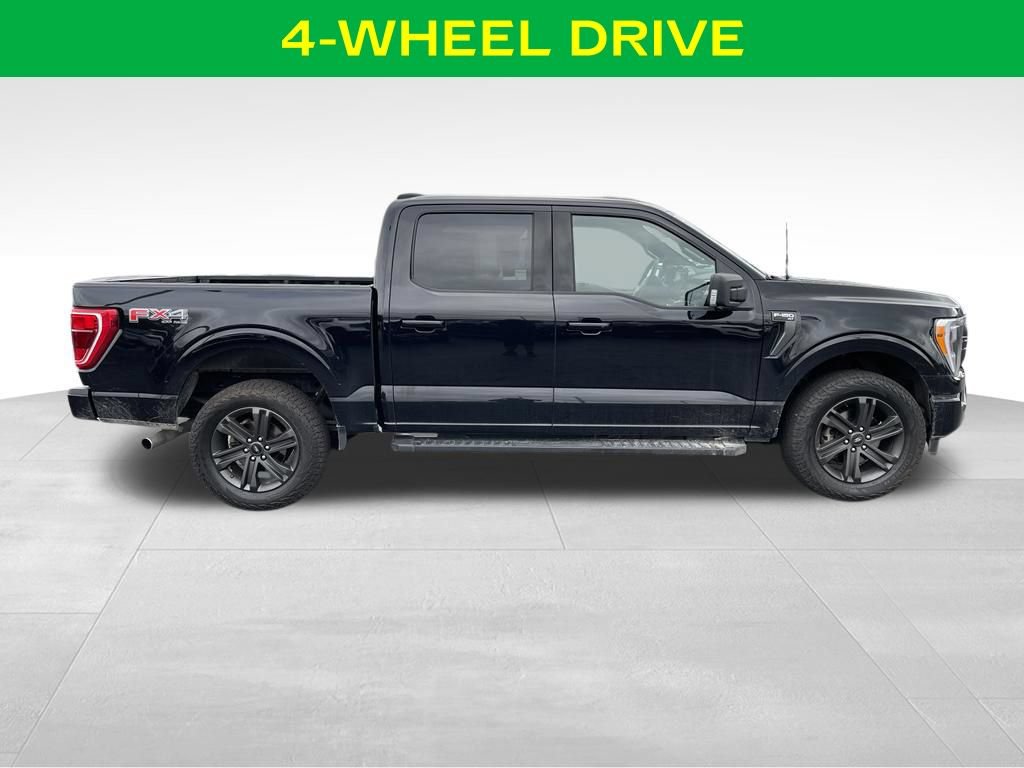 Used 2023 Ford F150 XLT w/ Equipment Group 302A High AWD/4WD image 6